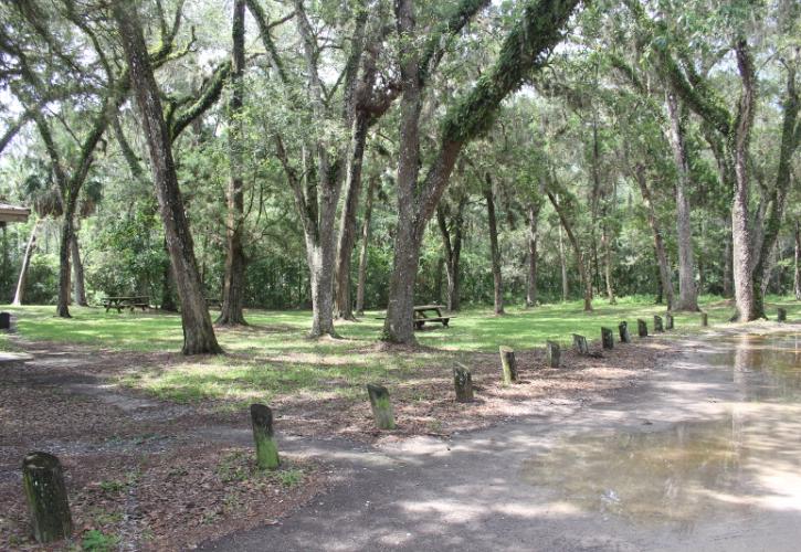 An open grassy lot with oak trees and parking